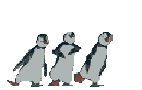 Les nouvelles 3-pingou